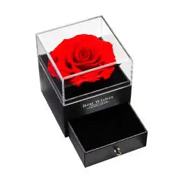 PACHET TRANDAFIR ETERN ROSU + TRANDAFIR IN CUTIE DE BIJUTERI
