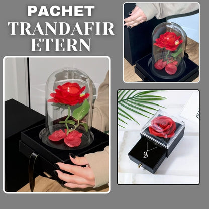 PACHET TRANDAFIR ETERN ROSU + TRANDAFIR IN CUTIE DE BIJUTERII