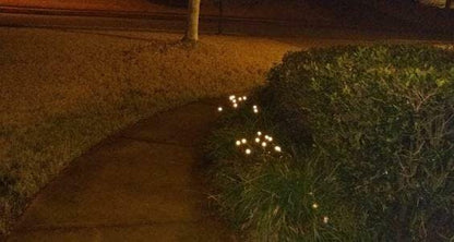 Lampa Solară cu 8 LED-uri - Decor Grădină