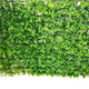 Panou Verde Artificial pentru Perete 40x60cm - Decoratiune Premium cu Plante Artificiale Dense