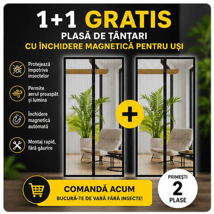1+1PLASATANT