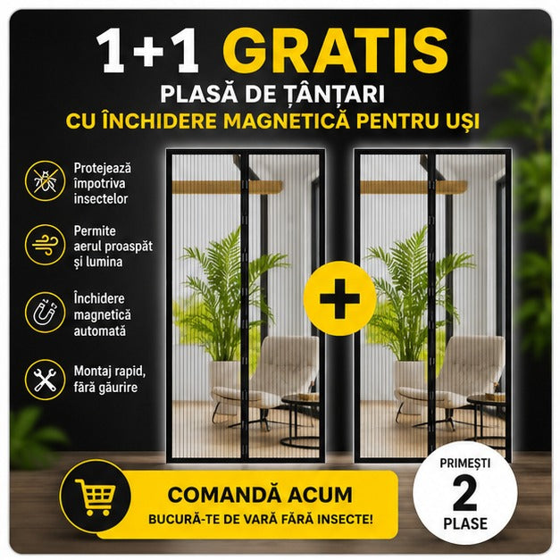 1+1PLASATANT
