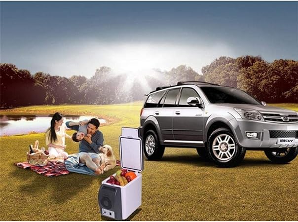 Frigider auto, 6L 12V Mini Frigider electric Încălzitor Frig