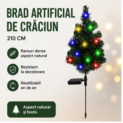 BRADMIC