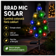 BRAD MIC SOLAR
