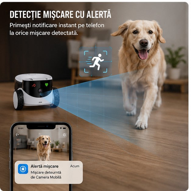 CAMERAMOBILA