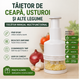 Tăietor de Ceapă, Usturoi și Alte Legume - 9 RON