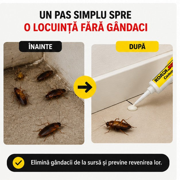 INSECTICID