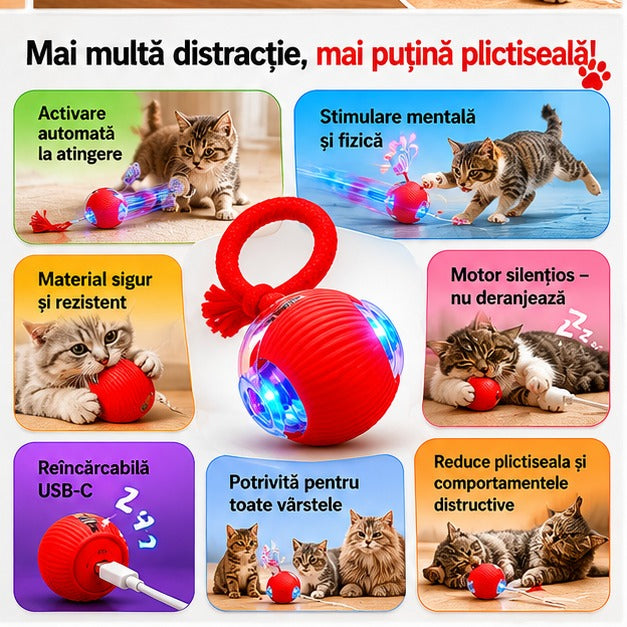 JUCARIEANIM