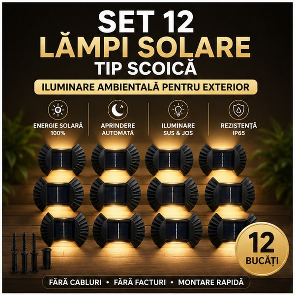 LSSET12009
