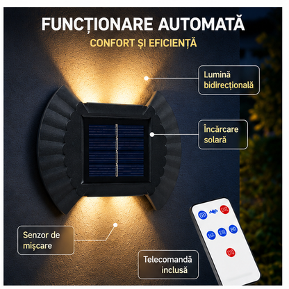 SET 16 LAMPI SOLARE IN FORMA DE SCOICA