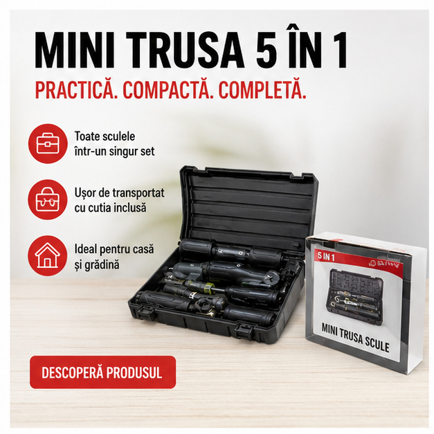 MINI TRUSA SCULE