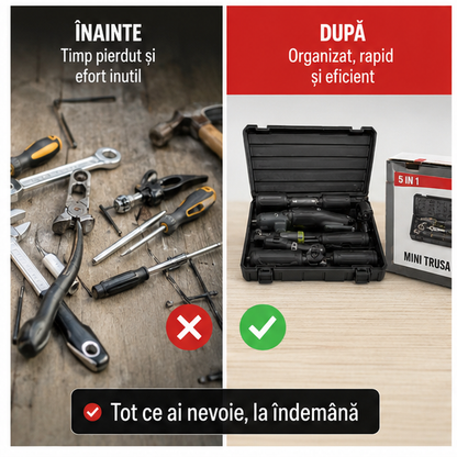 MINI TRUSA SCULE