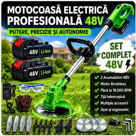 MOT48V006