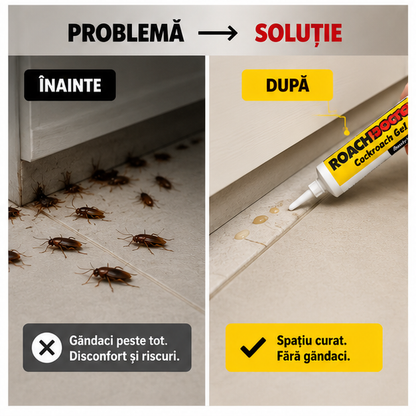 Seringa gandaci - Insecticid Roach Doctor