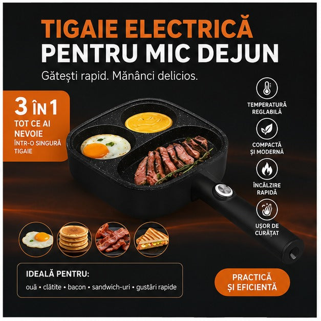 RIF-TIGAIE-MICDEJUN-ELECTR