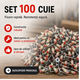 SET 100 CUIE