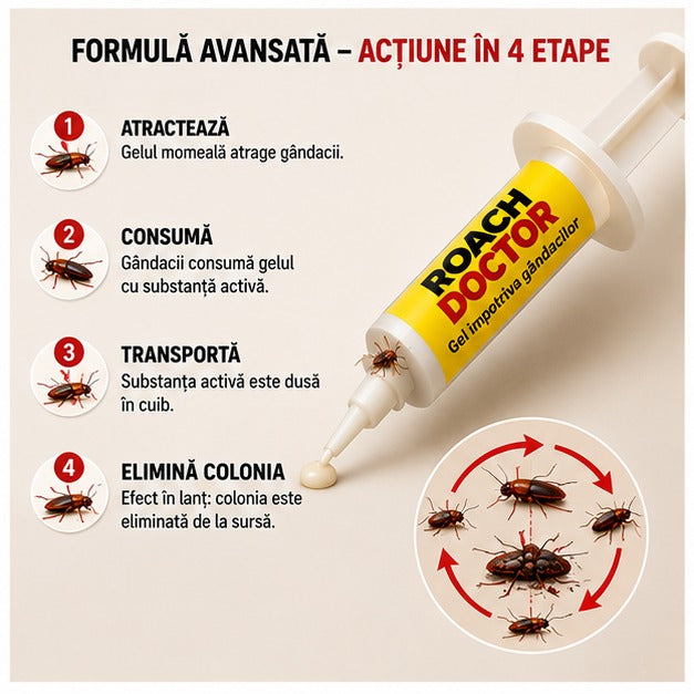 SET4INSECT