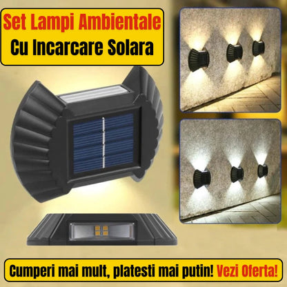 SET 12 LAMPI SOLARE IN FORMA DE SCOICA