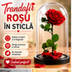 Trandafir Rosu In Sticla
