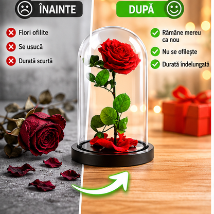 Trandafir Rosu In Sticla